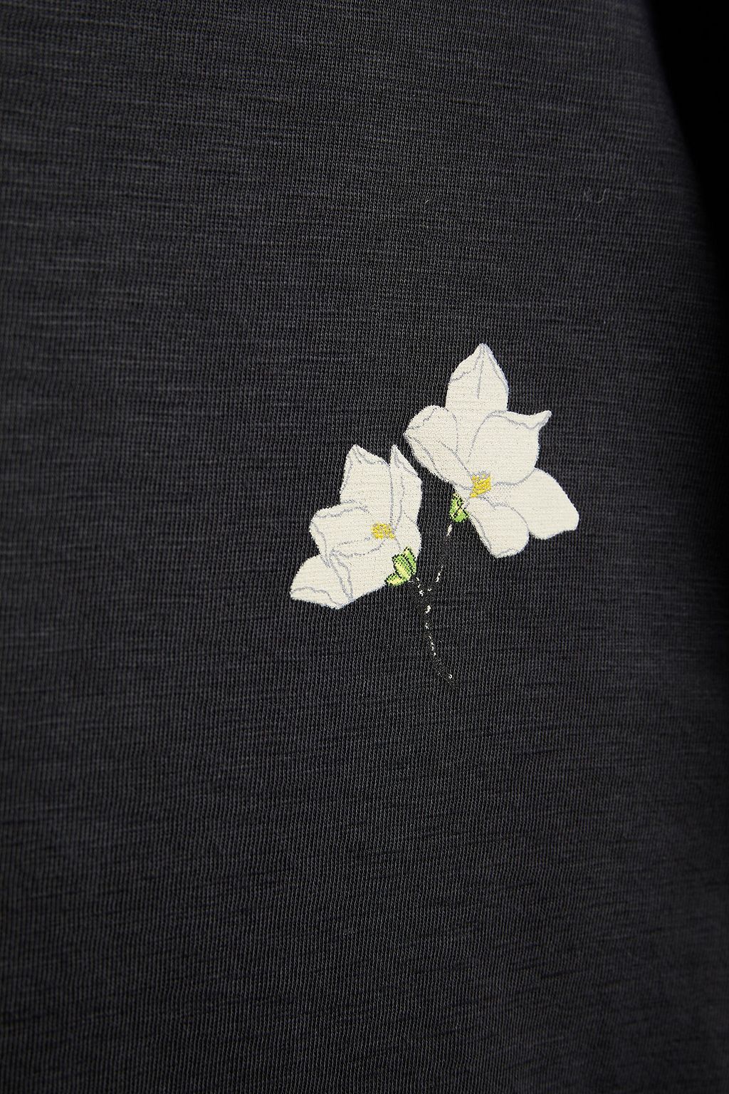 RAG & BONE Printed organic Pima cotton-jersey T-shirt
