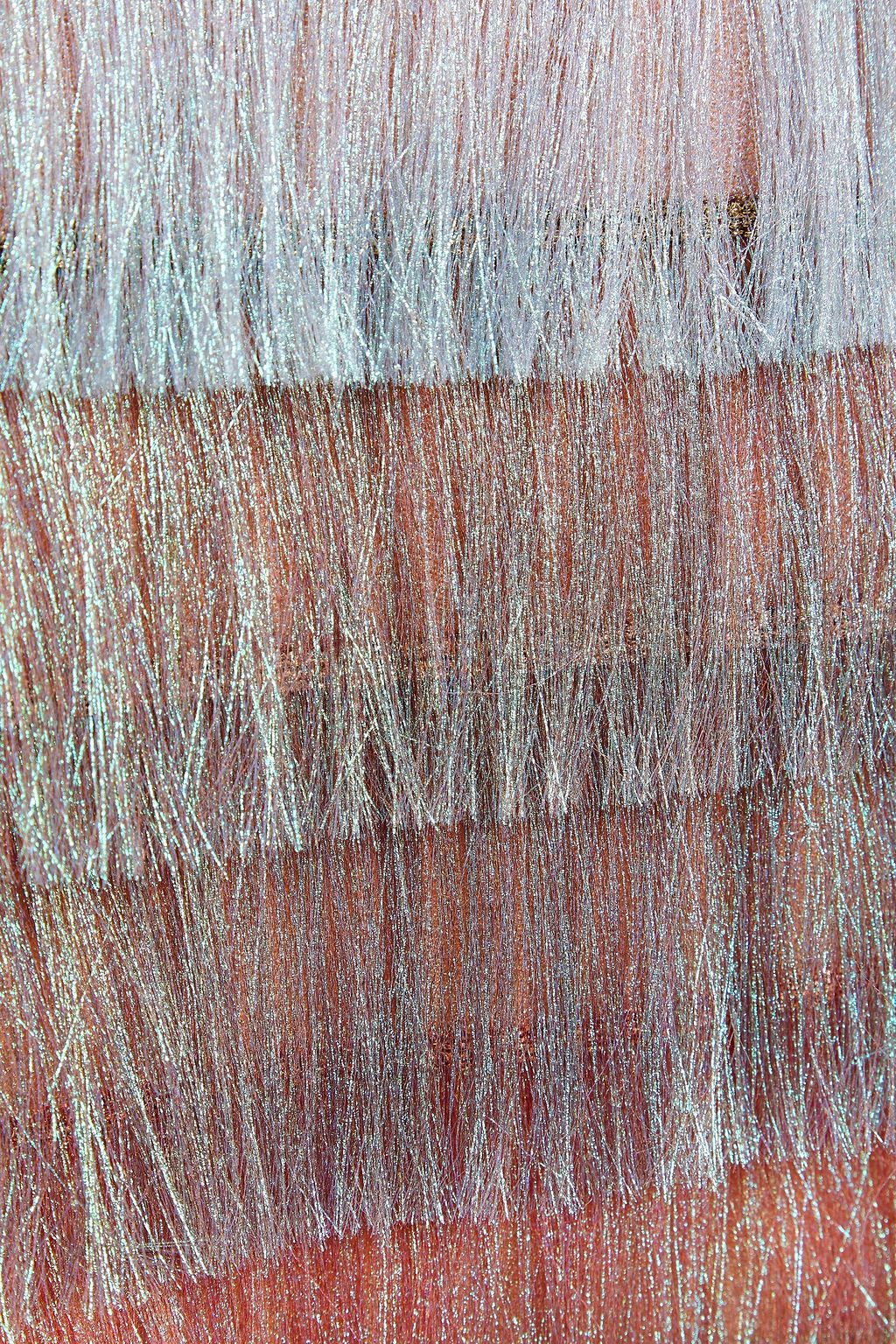 MISSONI Strapless tiered fringed cotton-blend mini dress