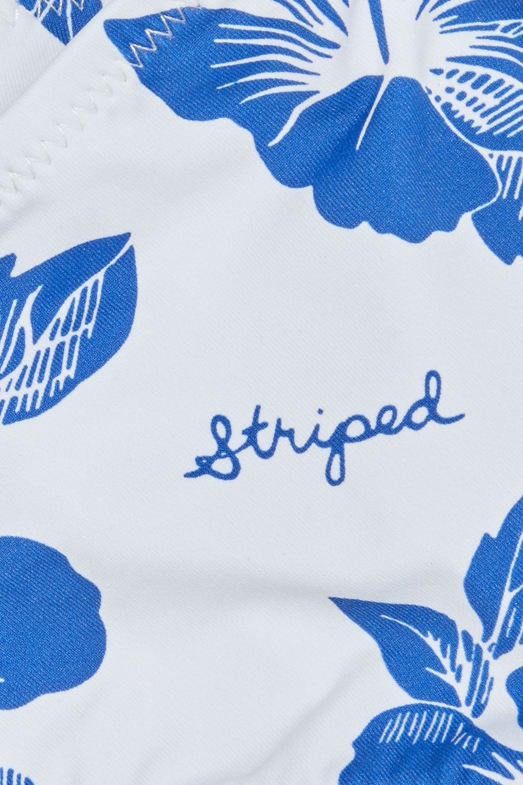 SOLID & STRIPED The Desi striped low-rise bikini briefs