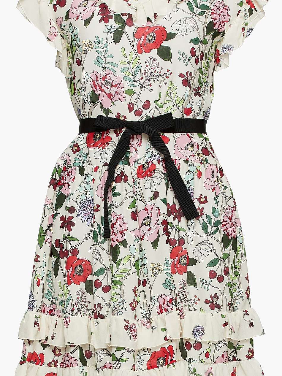 ruffled floral-print silk crepe de chine dress