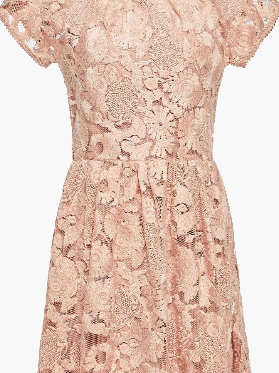embroidered tulle mini dress