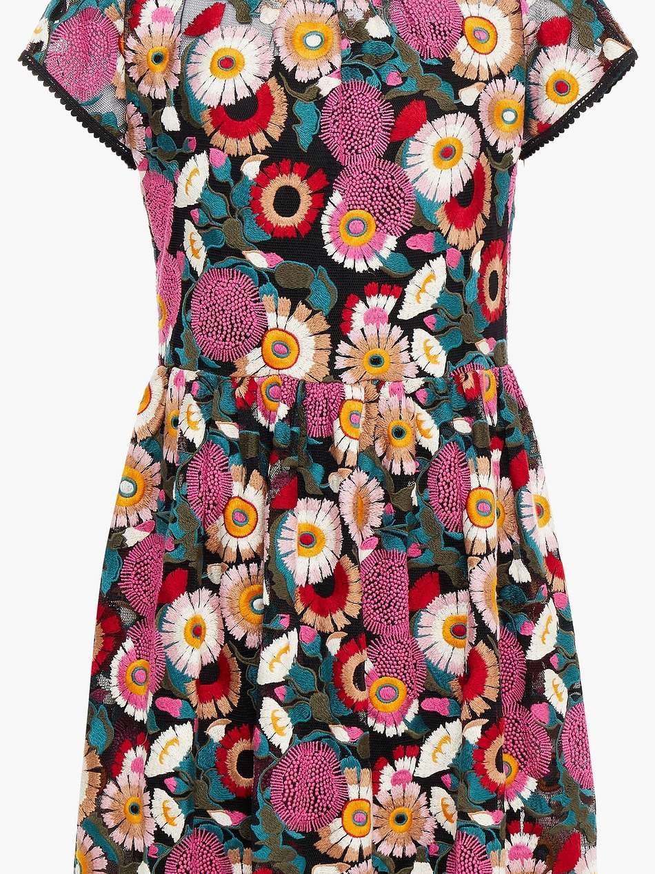 embroidered tulle mini dress