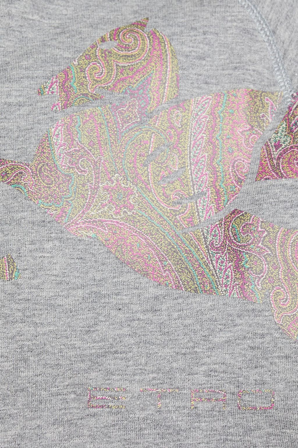 ETRO Printed French cotton-blend terry hoodie