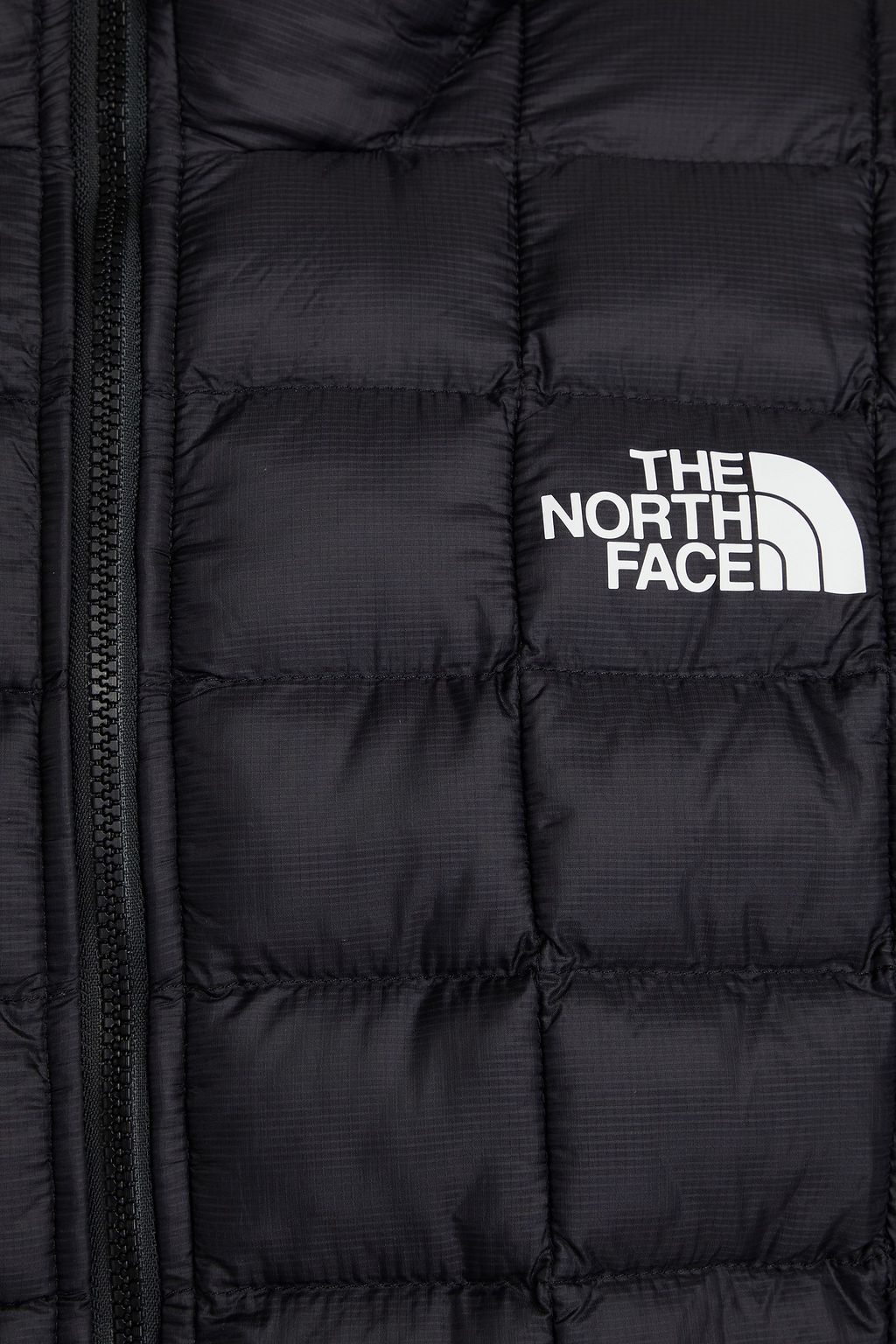 THE NORTH FACE Logo-print quilted shell hooded jacket
