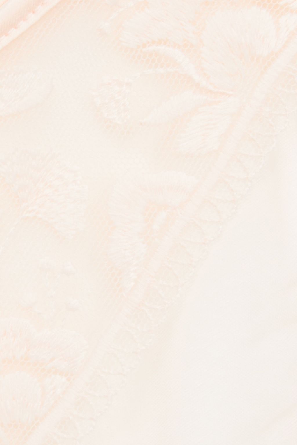 SIMONE PÉRÈLE Embroidered tulle low-rise briefs