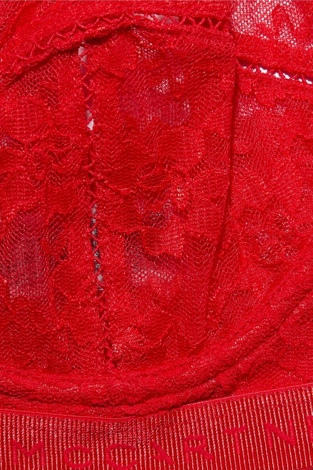 STELLA MCCARTNEY Lina Longing Leavers lace underwired bra
