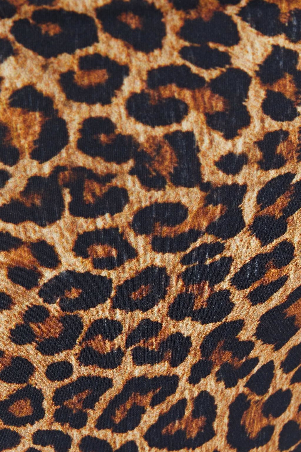 ANEMOS Leopard-print high-rise bikini briefs