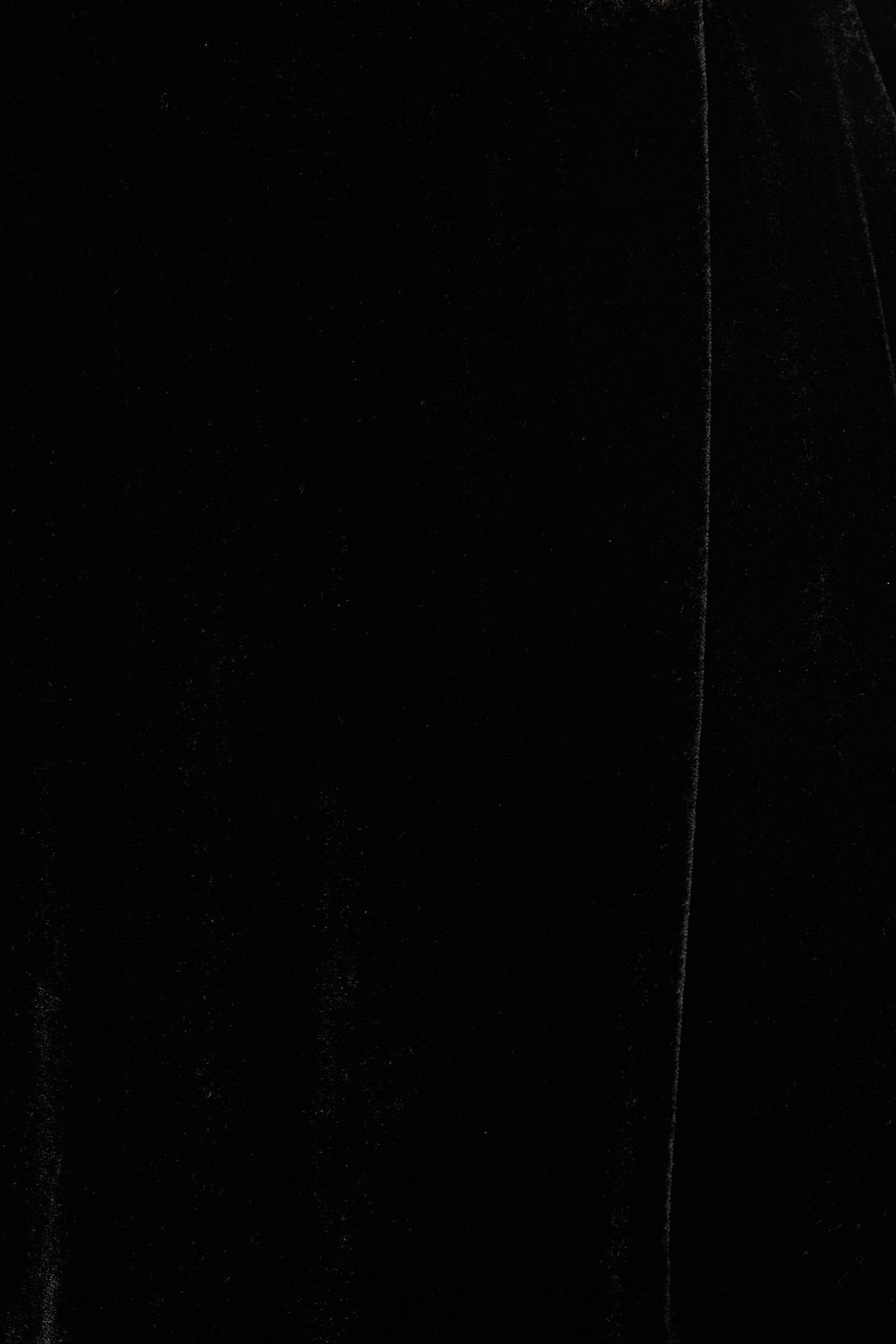 RASARIO Pleated velvet tapered pants
