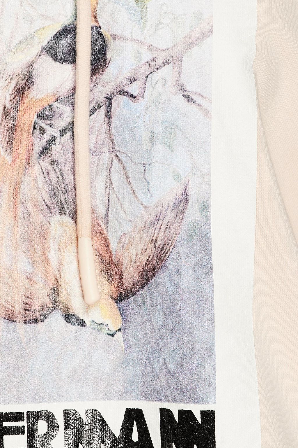 ZIMMERMANN Botanica printed French cotton-blend terry hoodie