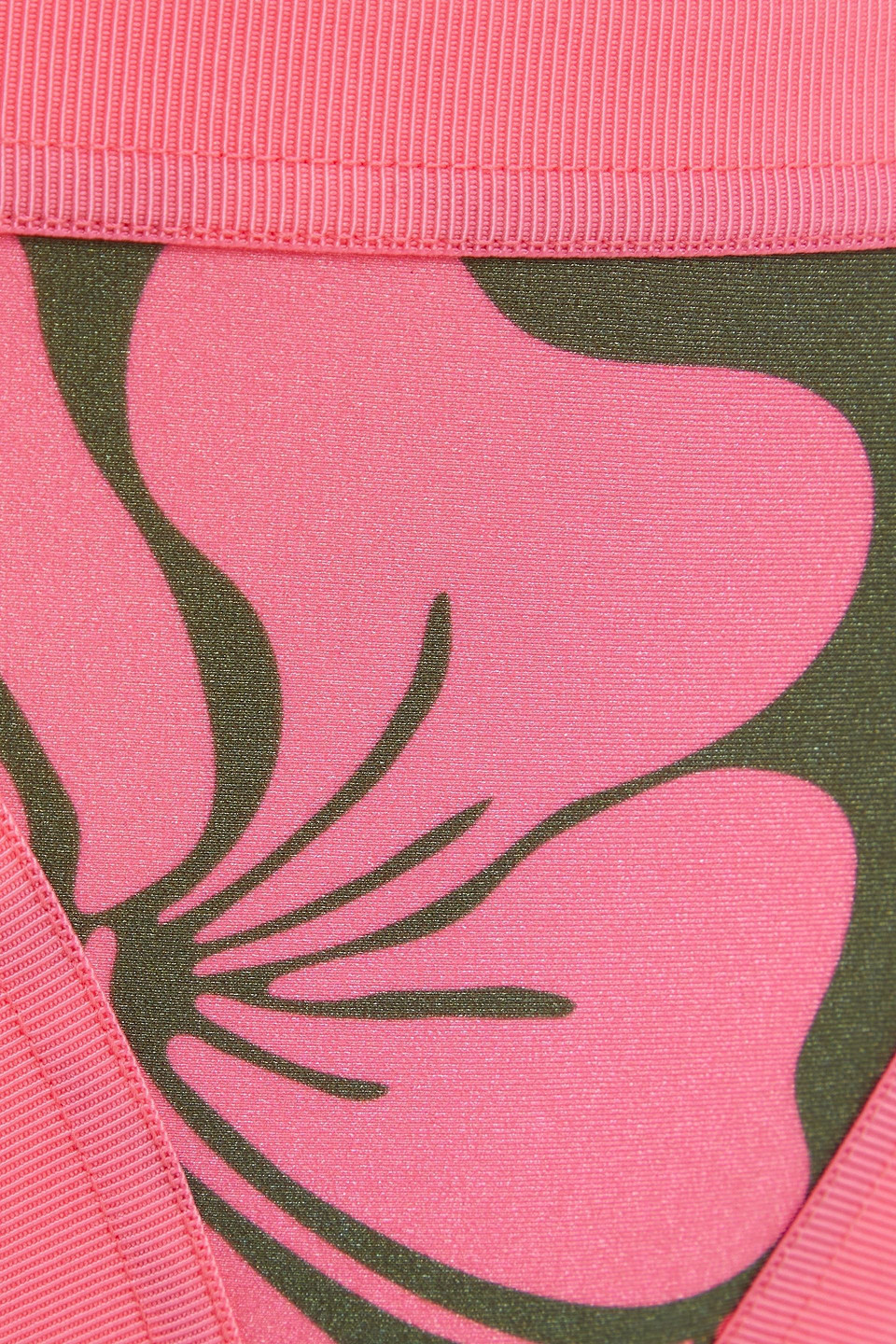 Zimmermann Lulu Grosgrain-trimmed Floral-print Low-rise Bikini Briefs In Army Green