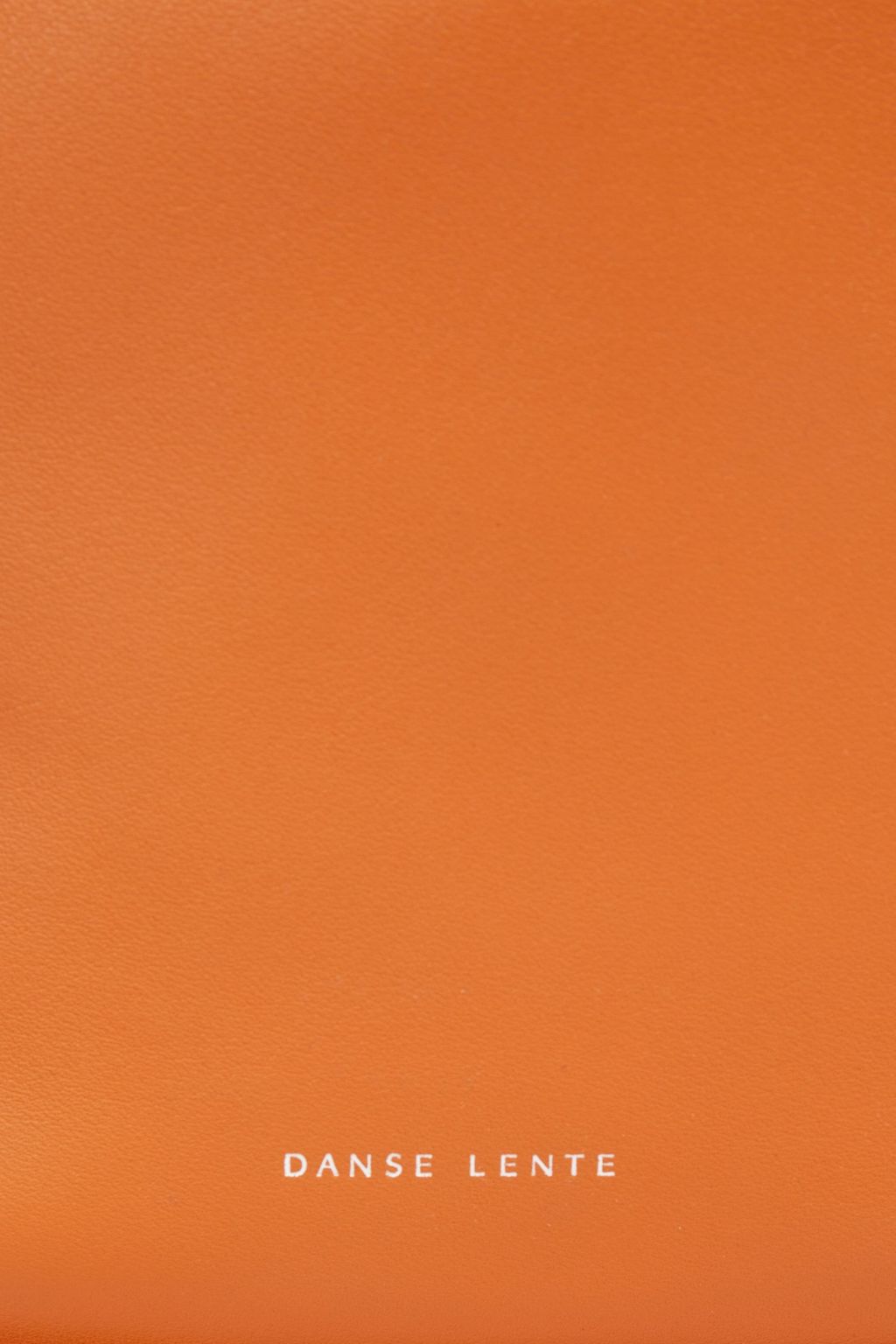 DANSE LENTE Lake leather tote