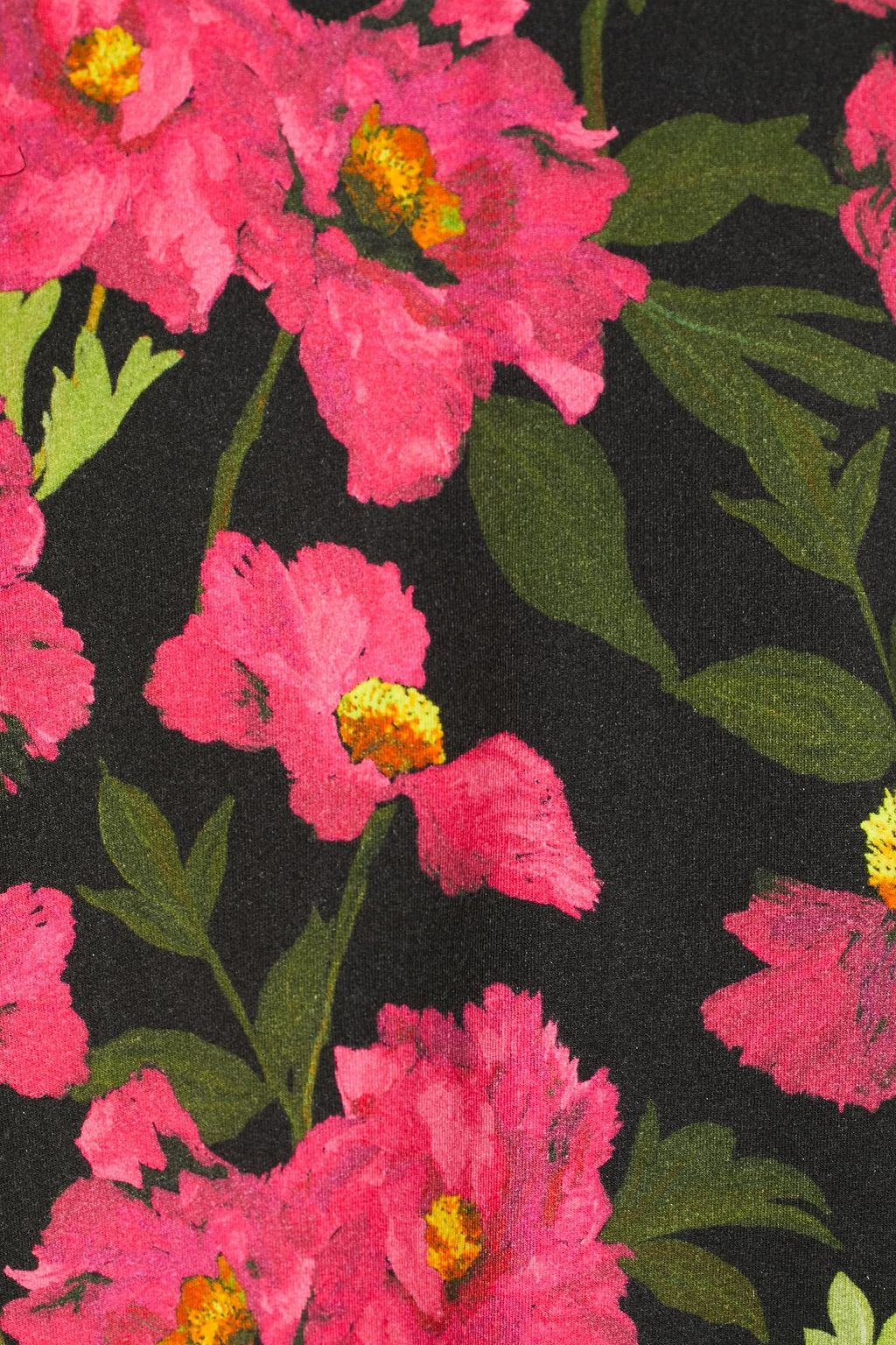 ALICE + OLIVIA Floral-print cotton-blend fleece sweatshirt