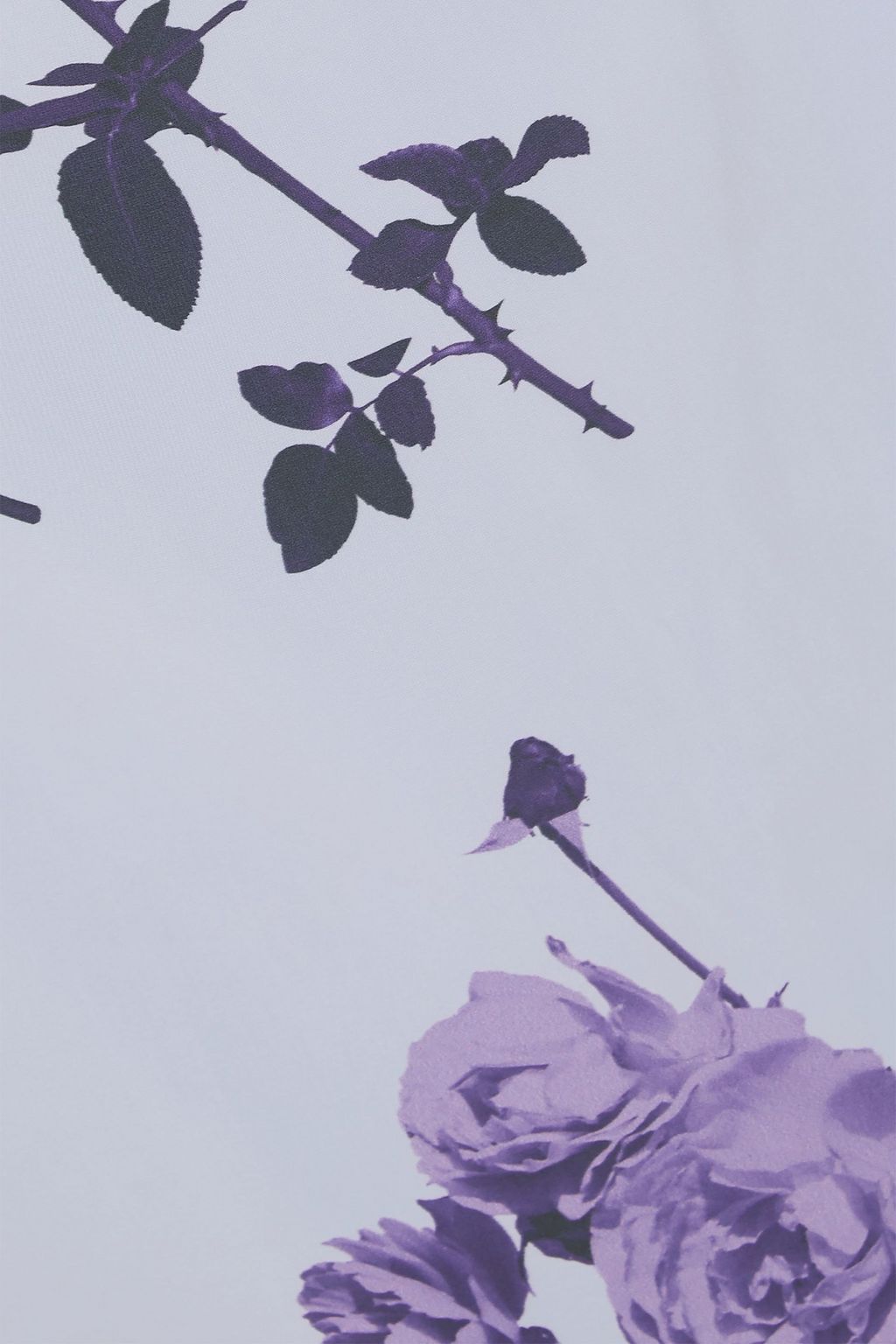 DRIES VAN NOTEN Chiara floral-print crepe top