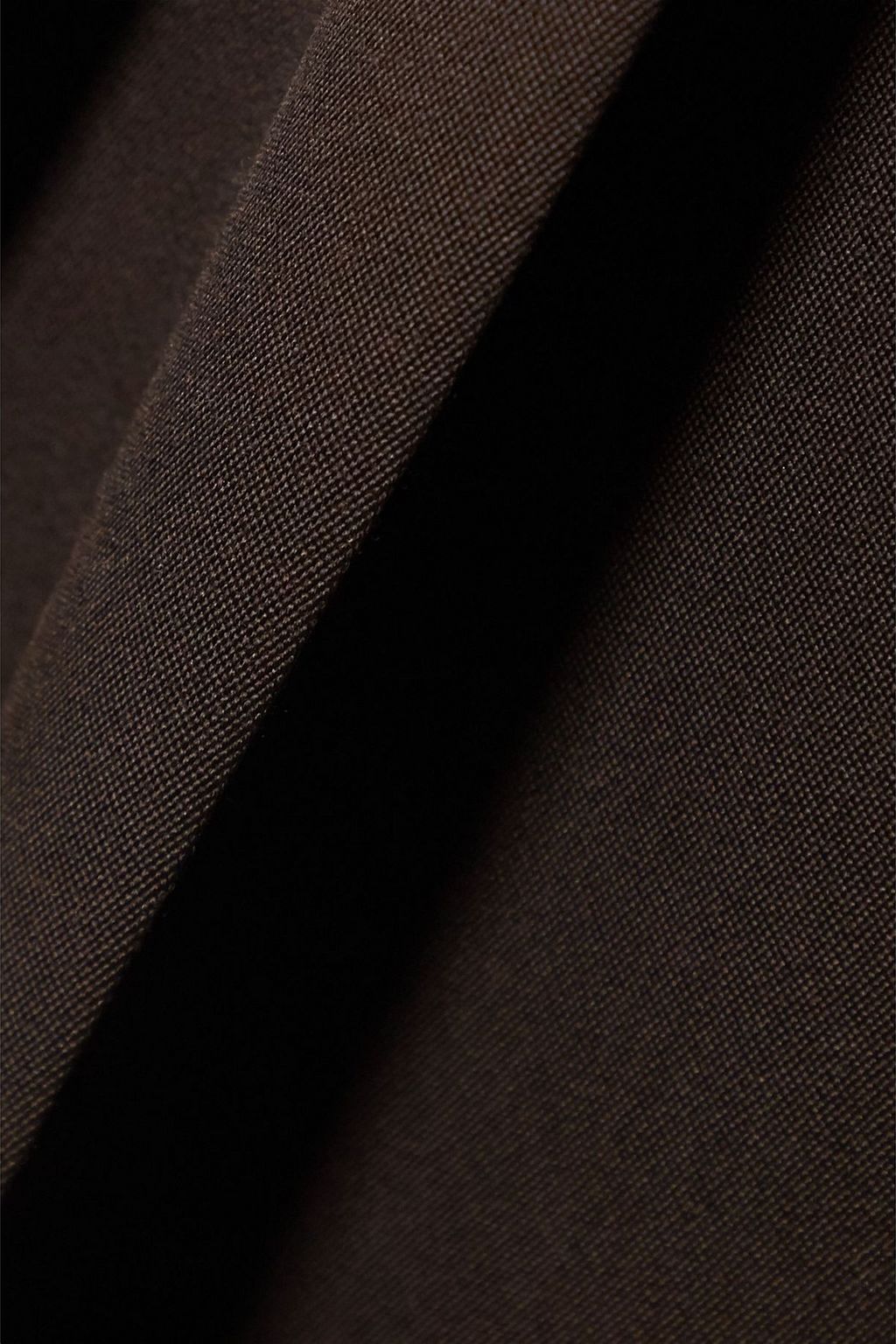BOTTEGA VENETA Pleated grain de poudre wide-leg pants