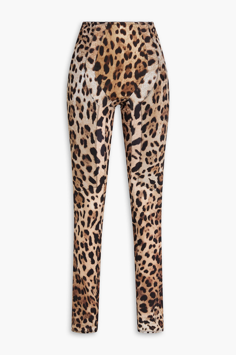 Dolce & Gabbana Leopard-print Mesh Leggings In Multi