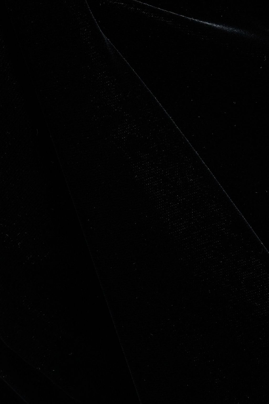 CAROLINA HERRERA Velvet skinny pants