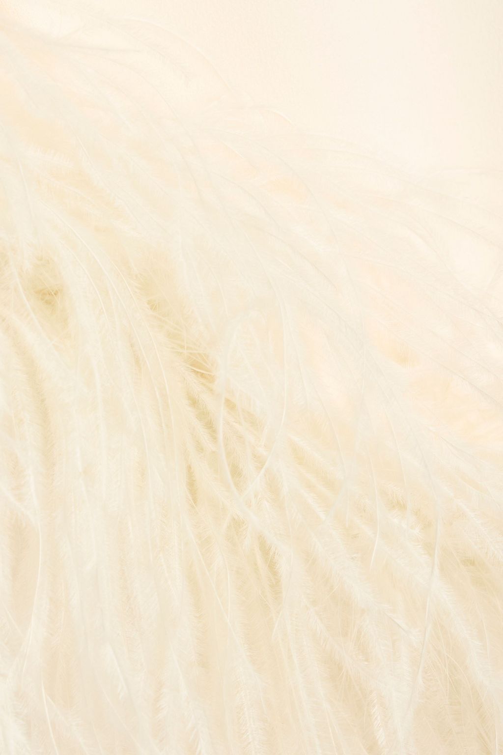 LAPOINTE Feather-trimmed crepe midi skirt