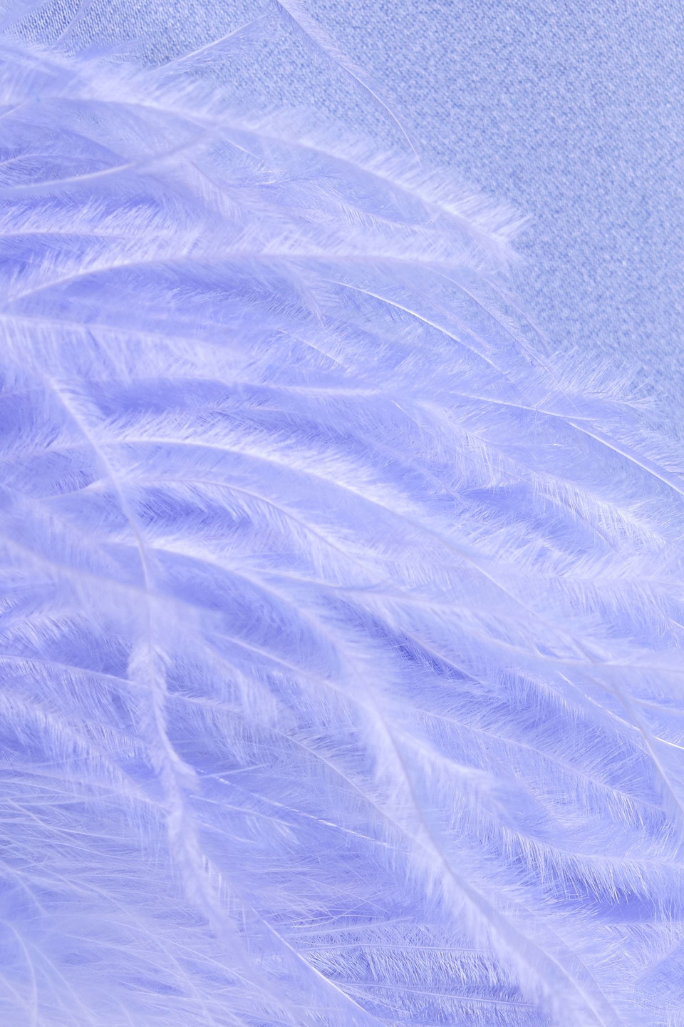 Lapointe Feather-trimmed Satin-crepe Midi Skirt In Purple