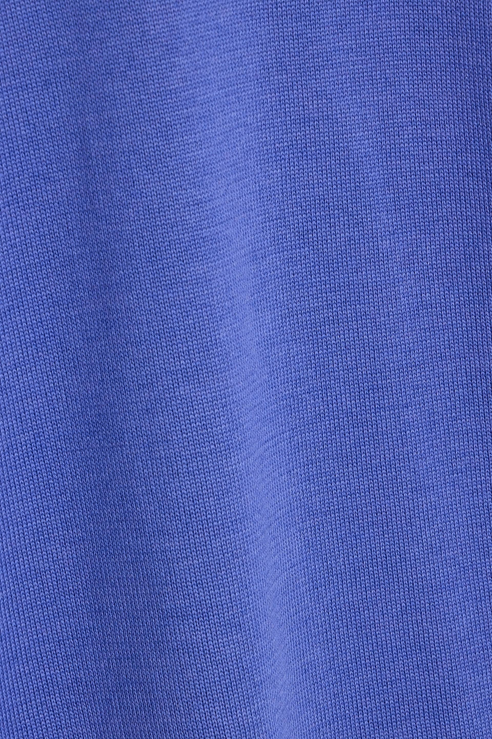 Carolina Herrera Silk And Cotton-blend Turtleneck Top In Blue