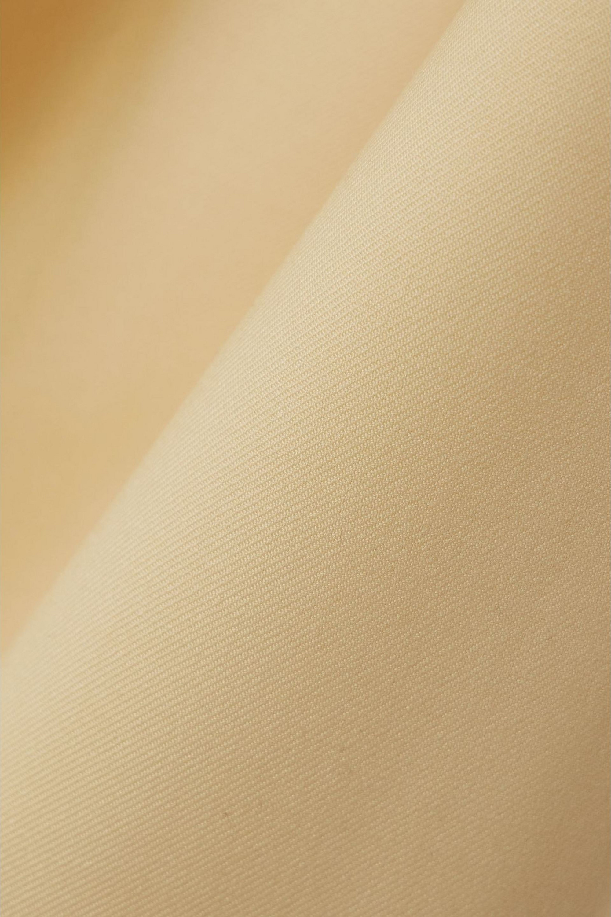 Esse Studios Delphi pleated wool-blend twill wide-leg pants