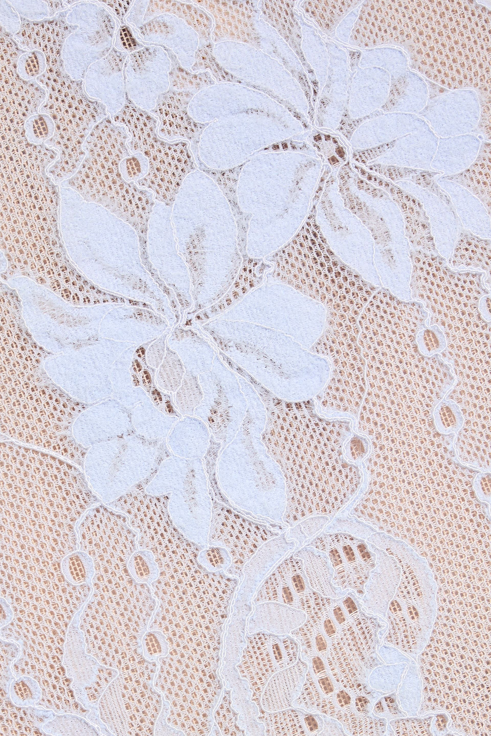 Zimmermann Lace Scoop Bodysuit Clothing In Neutral