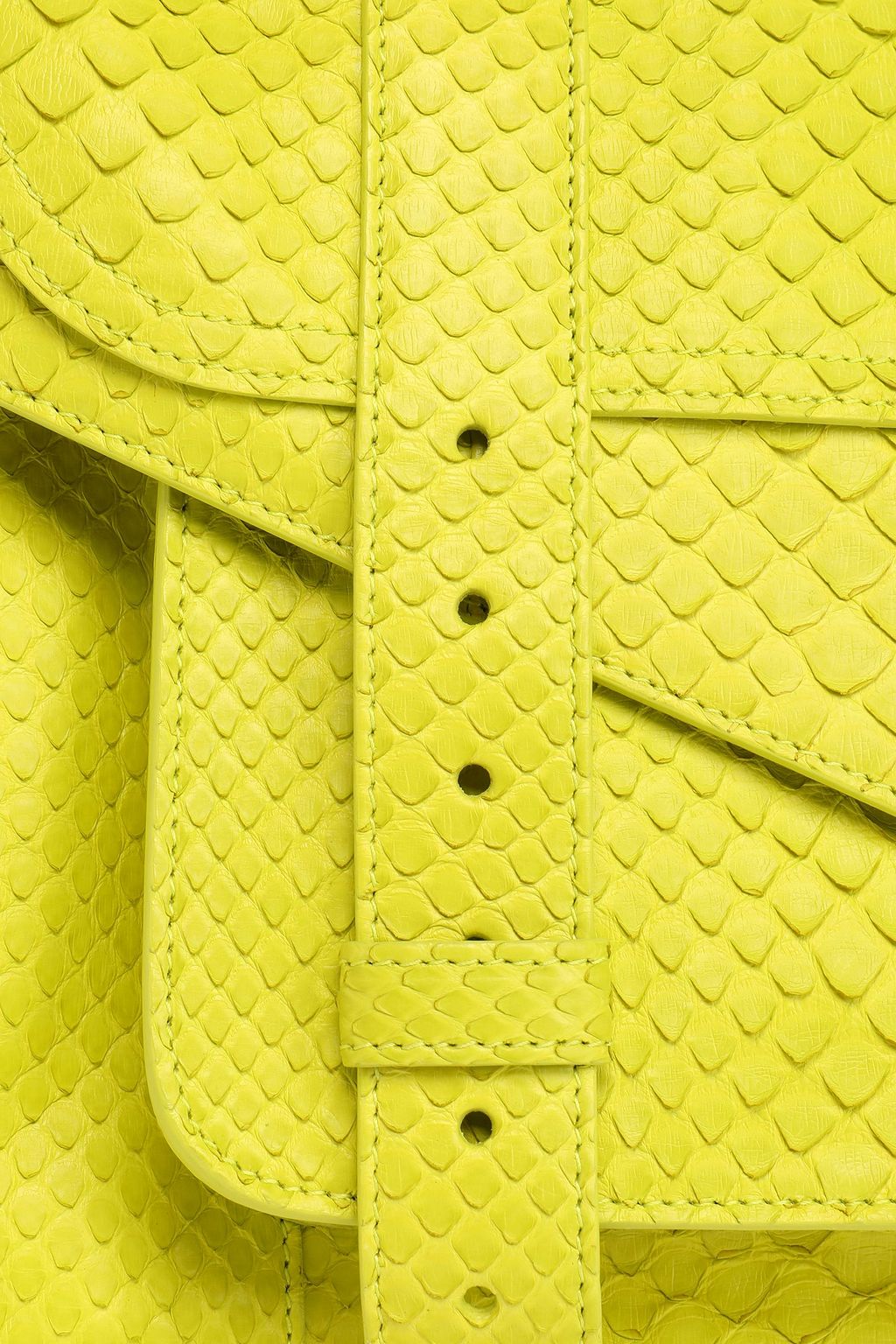 PROENZA SCHOULER Python shoulder bag