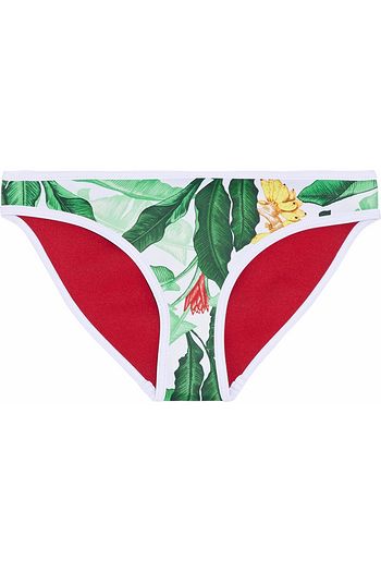 duskii swimwear sale