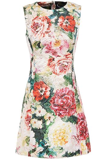 the outnet dolce and gabbana