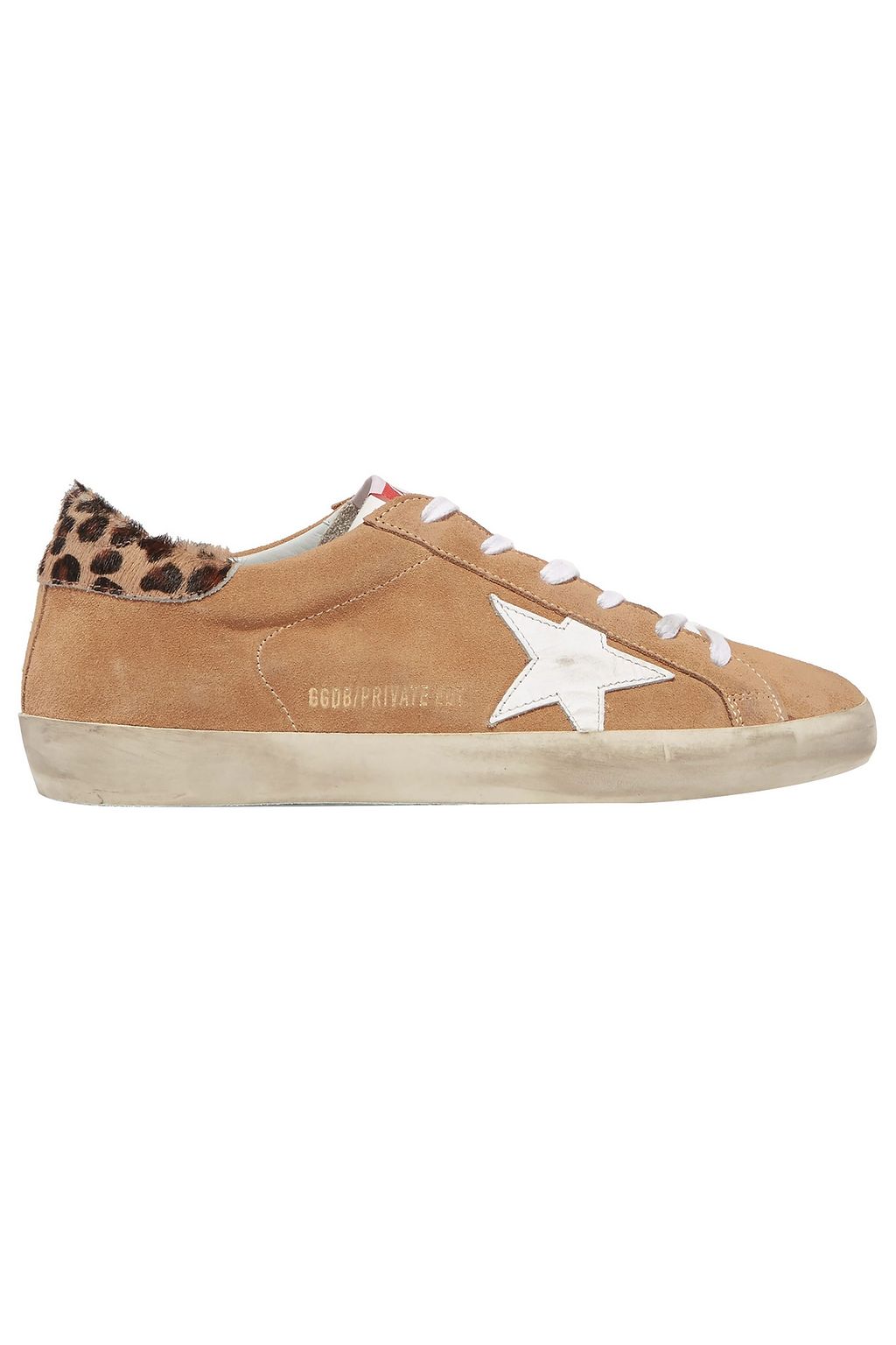superstar camel